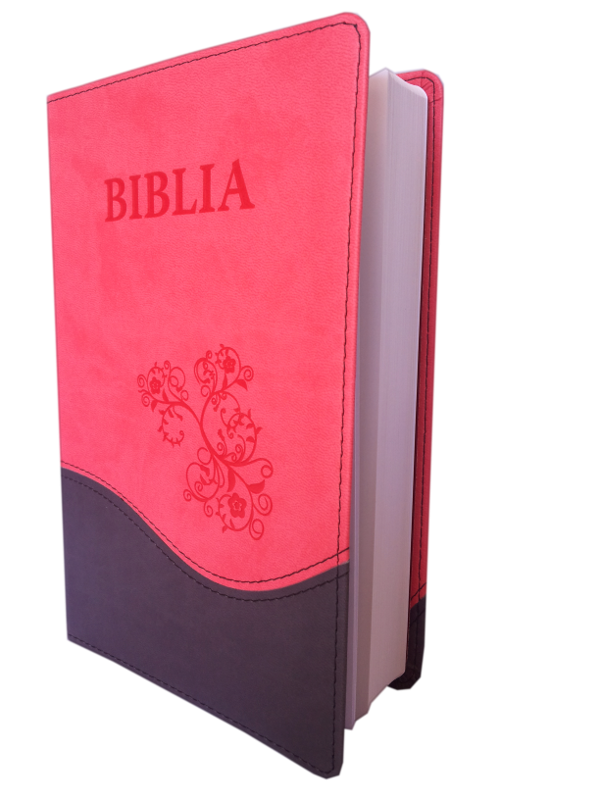 Biblia Noua Traducere