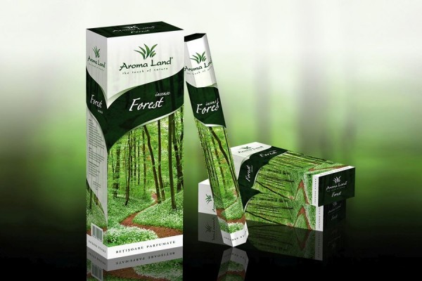 Set 6 cutii hexagonale cu 20 de betisoare parfumate - Forest