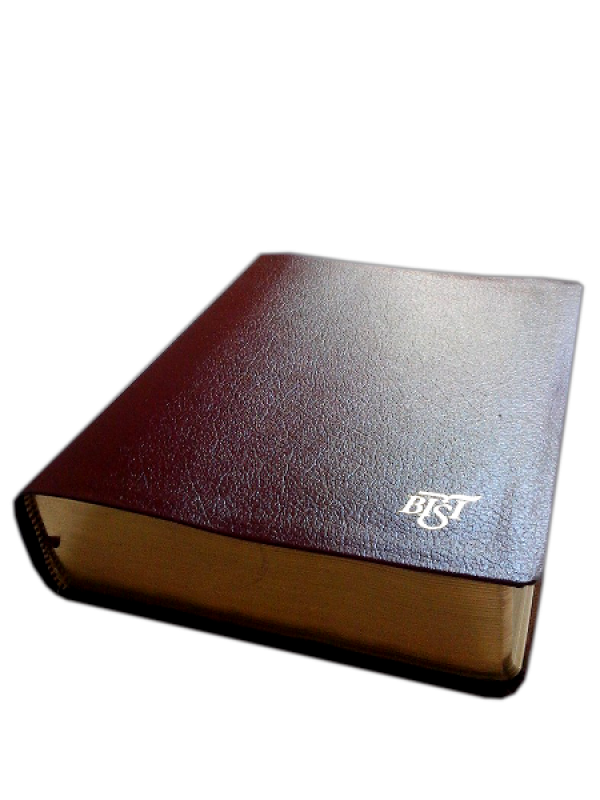 biblia de studiu inductiv