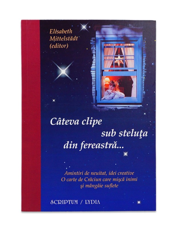 Cateva clipe sub steluța din fereastra de Elisabeth Mittelstadt