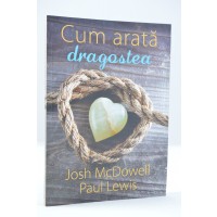 Cum arata dragostea de Josh McDowell