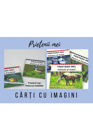 Prietenii mei – Pisica și pasărea - Cărți cu imagini