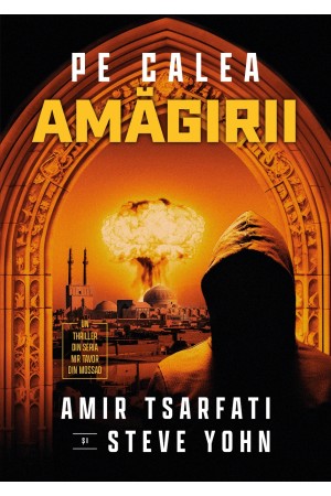 Pe calea amăgirii - Roman