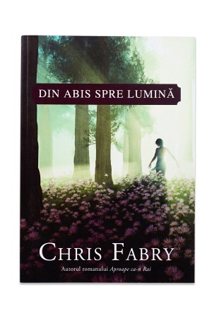 Din abis spre lumina - Roman crestin