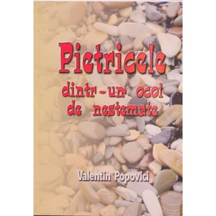 Pietricele dintr-un ocol de nestemate de Valentin Popovici