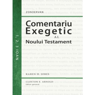 Comentariu exegetic al Noului Testament. 1, 2, 3 Ioan (Seria Zondervan - Comentarii biblice)