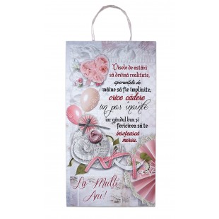 Tablou motivational   (50x27cm) -   Visele de astazi