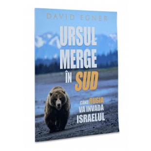 Ursul merge in Sud de David Egner