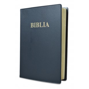 Biblie medie, coperta flexibila,neagra, fara fermoar, margini aurii, cuv. lui Isus cu rosu [052 IP]
