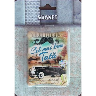 Magnet ceramic - Cel mai bun tata  (6x8cm )