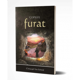 Copilul furat 